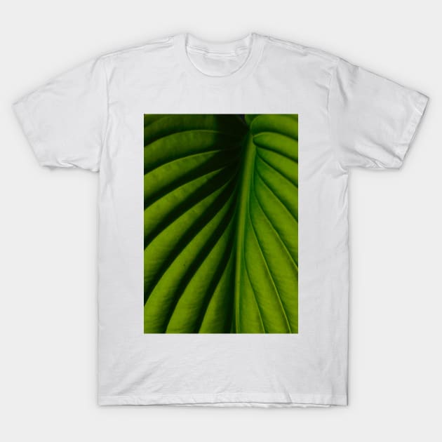 The Veins of Life T-Shirt by aestheticand